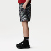 Шорты TNF Class V Pathfinder Pull-On Short (Мужской; M; BlackBeta FlashPrint)